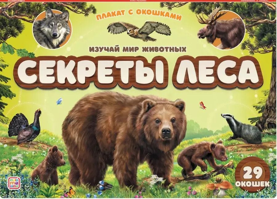 Обложка книги "Плакат с окошками. Секреты леса"