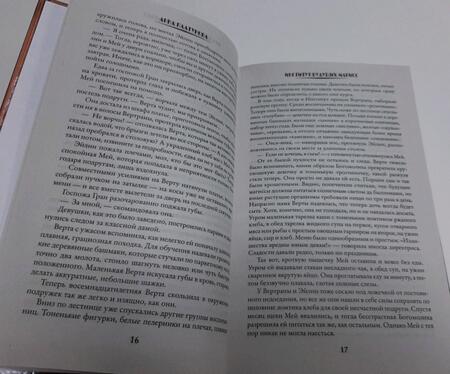 Фотография книги "Платунова: Институт будущих магисс"