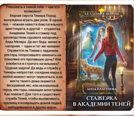 Фотография книги "Платунова: Стажерка в Академии Теней"