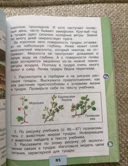 Фотография книги "Плешаков, Крючкова: Окружающий мир. 4 класс. Учебник. В 2-х частях. Часть 1. ФГОС"