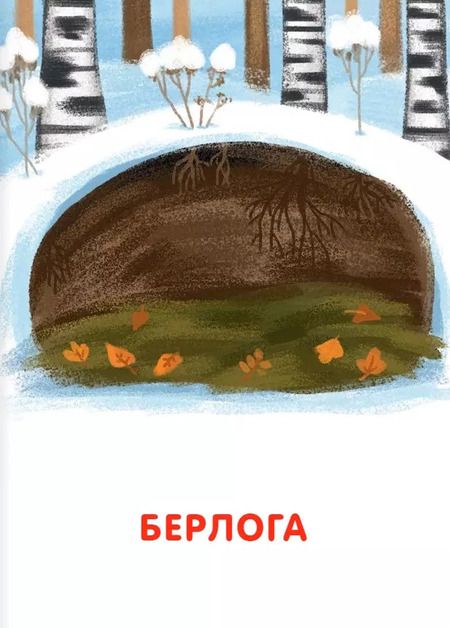Фотография книги "Подбери картинки. Кто где живет (36 карточек)"