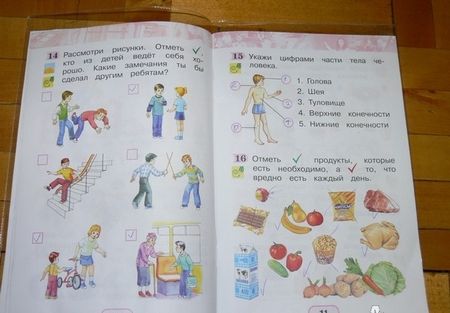 Фотография книги "Поглазова, Шилин: Окружающий мир. 1 класс. Рабочая тетрадь. В 2-х частях. Часть 1. ФГОС"