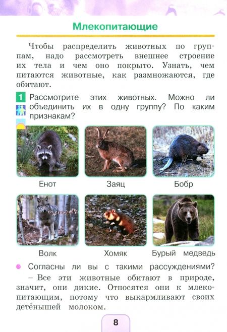 Фотография книги "Поглазова, Шилин: Окружающий мир. 1 класс. Учебное пособие. В 2-х частях. ФГОС"