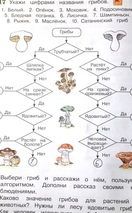 Фотография книги "Поглазова, Шилин: Окружающий мир. 4 класс. Рабочая тетрадь. Часть 1. ФГОС"
