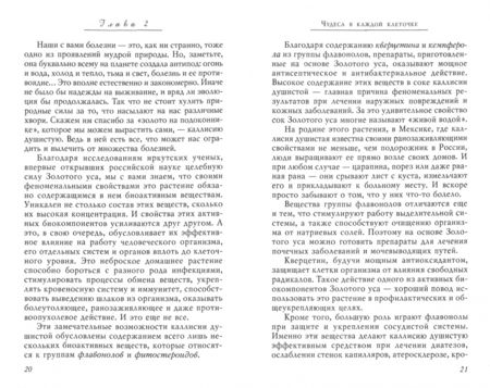 Фотография книги "Полевая: Золотой ус, или домашний женьшень"