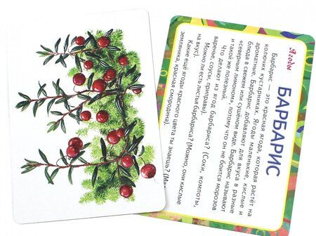 Фотография книги "Полезные карточки "Овощи, фрукты, ягоды""