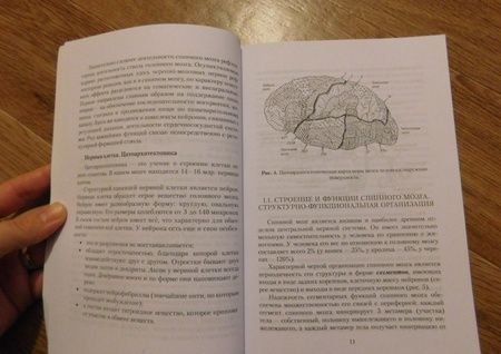 Фотография книги "Поливара: Нейролингвистические основы нарушений речи. Учебное пособие"