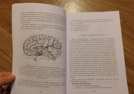 Фотография книги "Поливара: Нейролингвистические основы нарушений речи. Учебное пособие"