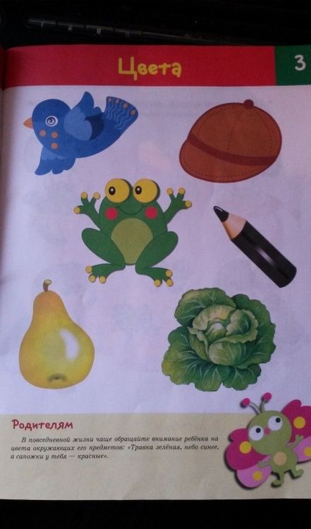 Фотография книги "Попова: Тесты. Что должен знать ребенок 2-3 лет"