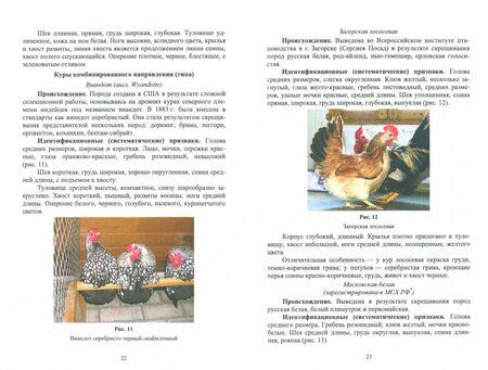 Фотография книги "Позняковский, Рязанова: Атлас аннотированный. Птица сельскохозяйственная. Пернатая дичь. Учебно-справочное пособие"