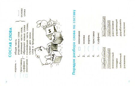 Фотография книги "Правила по русскому языку и математике для начальных классов"