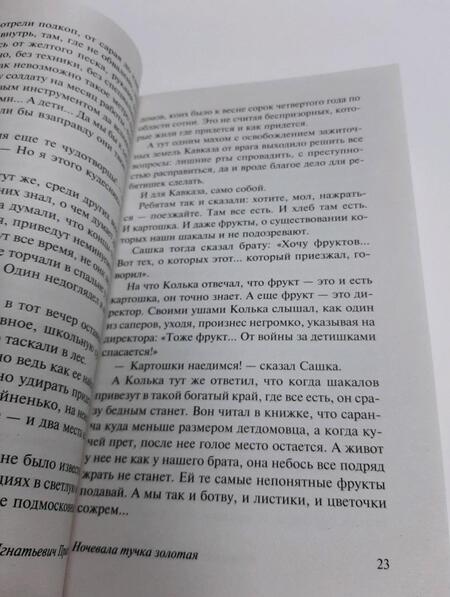 Фотография книги "Приставкин: Ночевала тучка золотая"