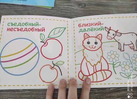 Фотография книги "Противоположности 1+. Книжка-раскраска для малышей"