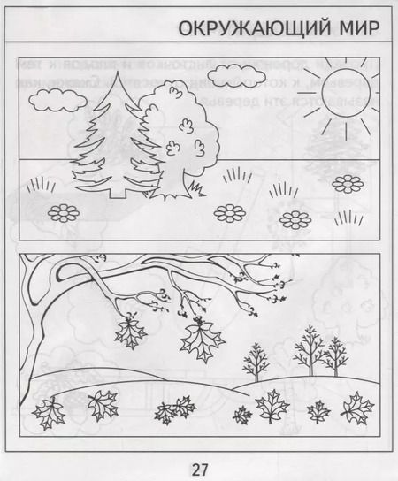 Фотография книги "Проверяем знания дошкольника. Тесты для детей 5 лет. Часть 1. Математика, развитие речи, окружающий мир"