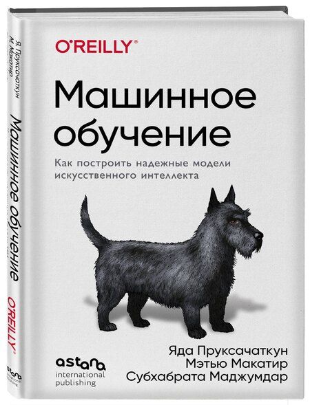 Фотография книги "Пруксачаткун, Макатир, Маджумдар: Машинное обучение. Как построить надежные модели искусственного интеллекта"