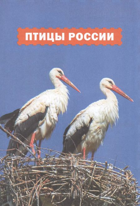 Фотография книги "Птицы России. Популярная детская энциклопедия"