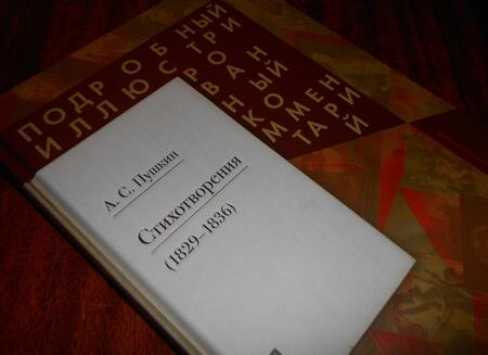 Фотография книги "Пушкин, Рожников: Стихотворения 1829-1836 гг. Подробный иллюстрированный комментарий"
