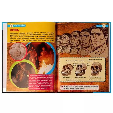 Фотография книги "Пётр Волцит: Тело человека"
