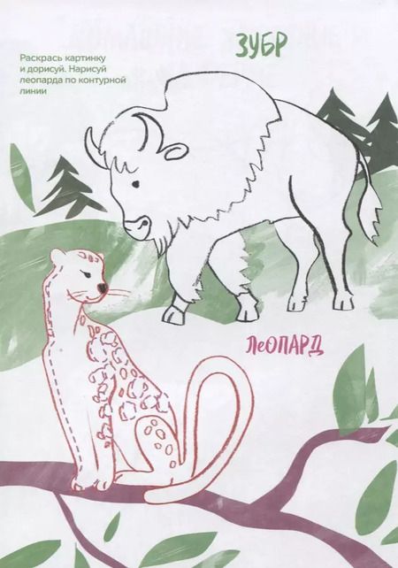 Фотография книги "Р Креативная раскраска Животные (+накл.) (илл. Мосоха) (мМирГлРеб)"