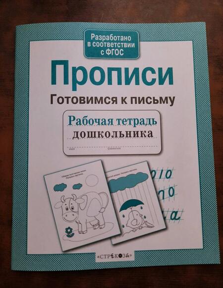 Фотография книги "Рабочая тетрадь дошкольника. Прописи. Готовимся к письму. ФГОС"