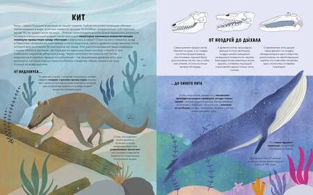 Фотография книги "Рахван: Эволюция. Как изменилась жизнь за миллиарды лет"