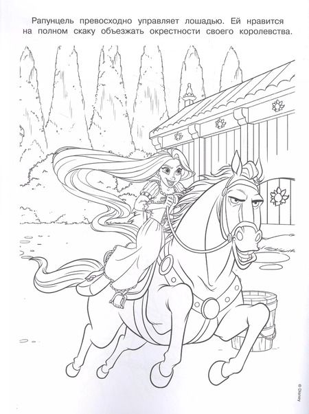Фотография книги "Раскраска № РАС 2207 ("Принцесса Disney")"