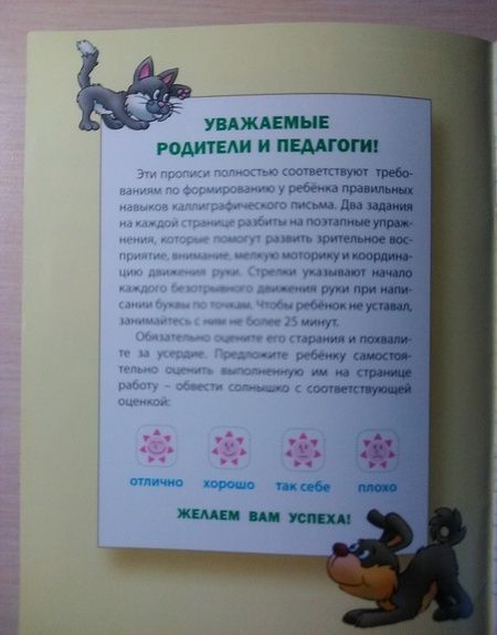 Фотография книги "Развиваем навыки письма в косую линейку"