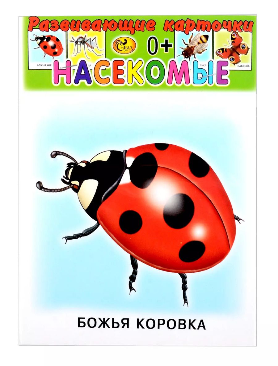 Обложка книги "Развивающие карточки Насекомые (0+) (12 карточек)"
