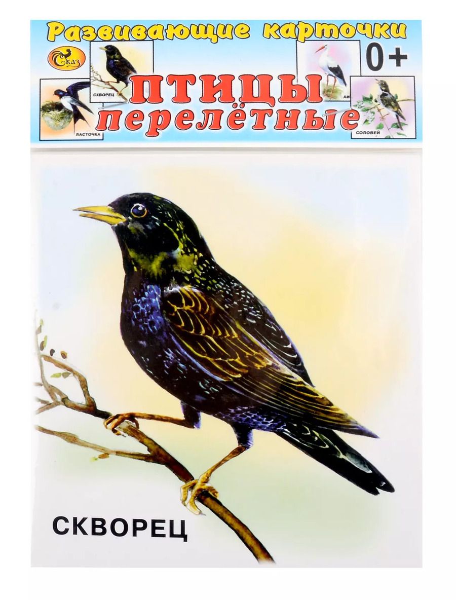 Обложка книги "Развивающие карточки Птицы перелетные (0+) (12 карточек)"