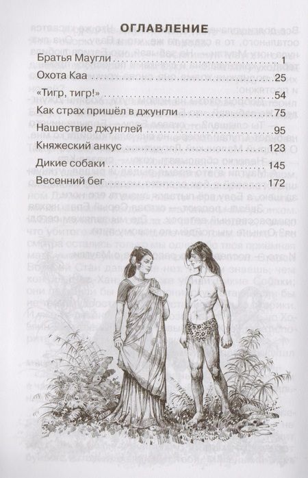 Фотография книги "Редьярд Киплинг: Маугли"