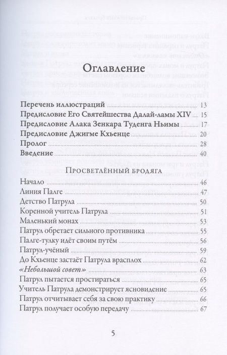 Фотография книги "Рикар: Просветлённый бродяга. Жизнь и учения Патрула Ринпоче"