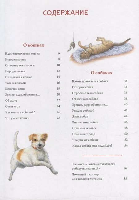 Фотография книги "Риха: Моя самая красивая книга о кошках и собаках"