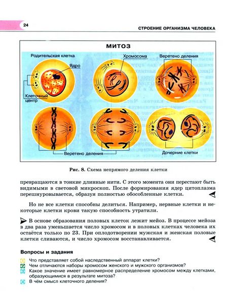 Фотография книги "Рохлов, Трофимов: Биология. 8 класс. Человек и его здоровье. Учебник. ФГОС"
