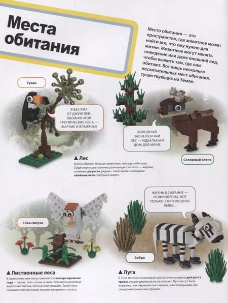 Фотография книги "Рона Скин: LEGO Атлас животных (+ набор LEGO из 60 элементов)"