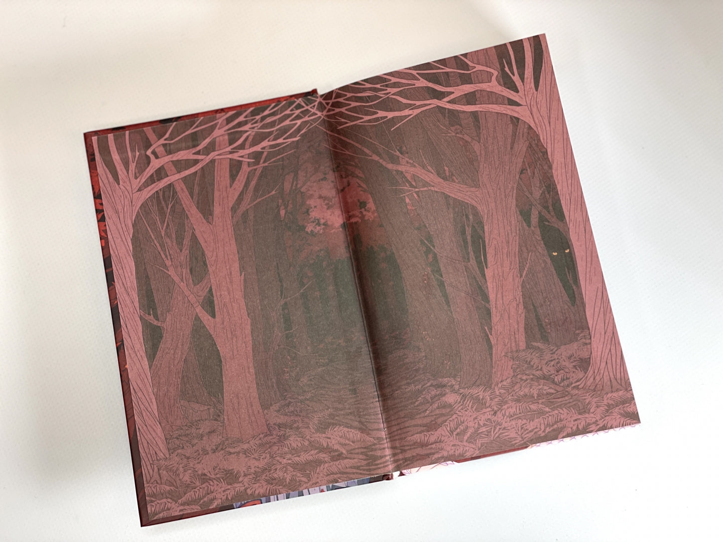 Фотография книги "Рубиновый лес"