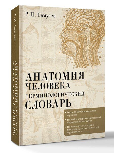 Фотография книги "Рудольф Павлович: Анатомия человека.Терминологический словарь"