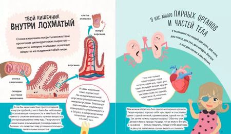 Фотография книги "Руни Энн: Тело человека. 500 удивительных фактов"