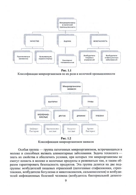 Фотография книги "Рябцева, Ганина, Панова: Микробиология молока и молочных продуктов. Учебник для СПО"