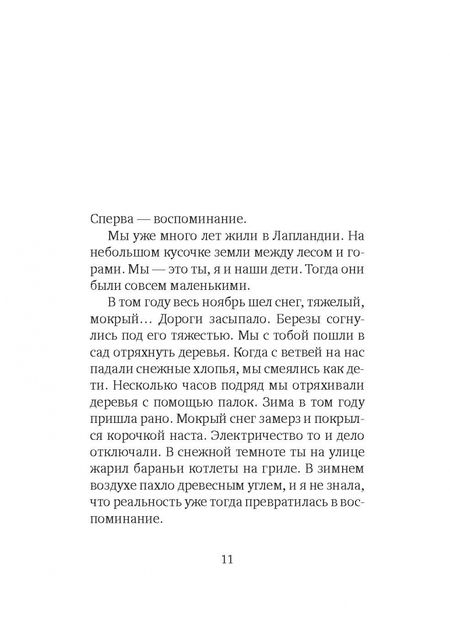 Фотография книги "Рюнель: Серебряная Инна"