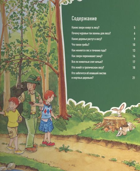 Фотография книги "Сабинэ Штаубер: Животные в лесу: книга с окошками"