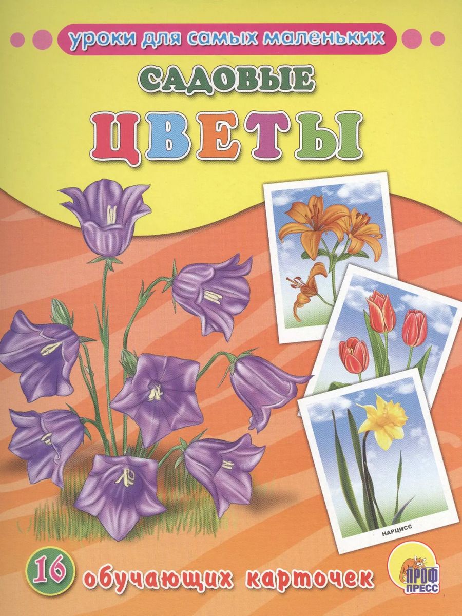 Обложка книги "Садовые цветы"