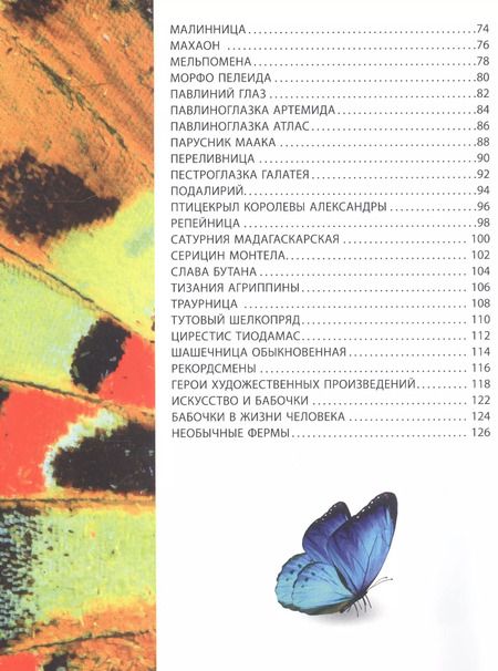 Фотография книги "Самые красивые бабочки. Детская энциклопедия"