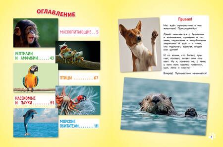 Фотография книги "Самые милые животные. Большая энциклопедия для маленьких"