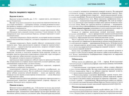 Фотография книги "Самусев, Сентябрев: Атлас анатомии и физиологии человека. Учебное пособие"