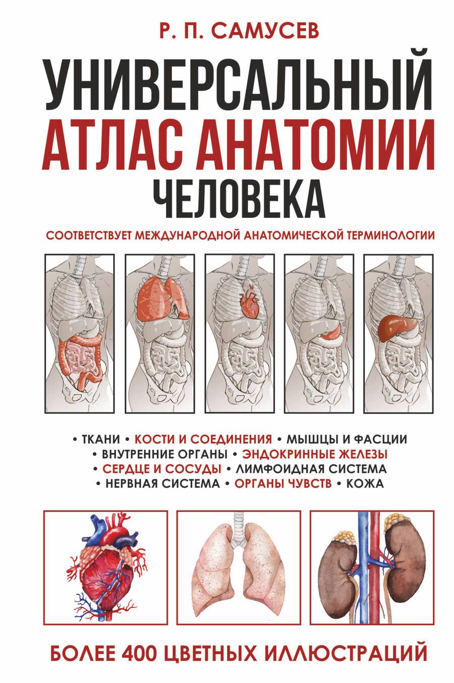 Обложка книги "Самусев: Универсальный атлас анатомии человека с цветными иллюстрациями. Учебное пособие"