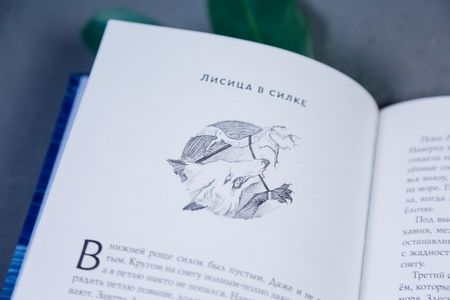 Фотография книги "Сандлер: Кубырь Кубырок"