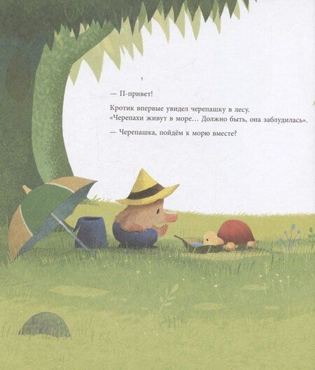 Фотография книги "Сангын Ким: Летнее приключение кротика"