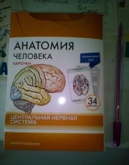 Фотография книги "Сапин, Николенко, Тимофеева: Анатомия человека. Центральная нервная система. Карточки (34 шт)"