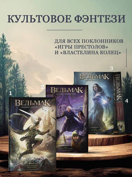 Фотография книги "Сапковский: Ведьмак. Владычица Озера"
