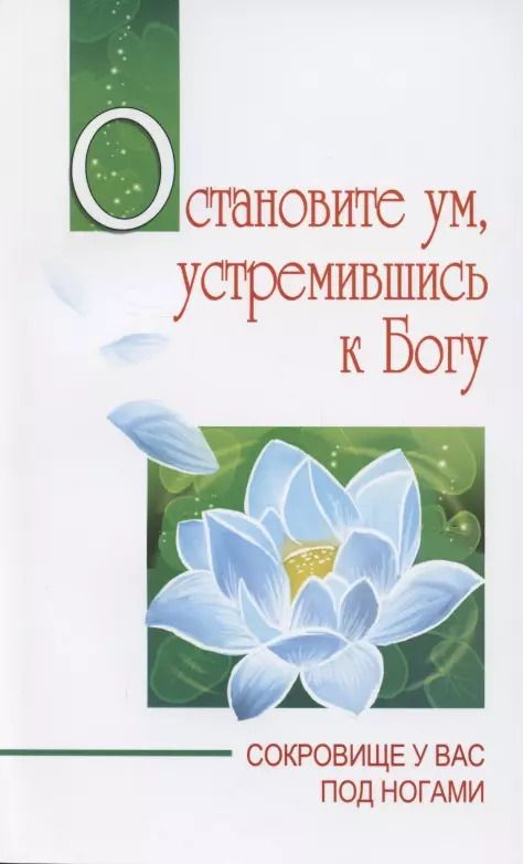 Обложка книги "Сатья Бхагаван: Остановите ум, устремившись к Богу"